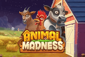 Animal Madness